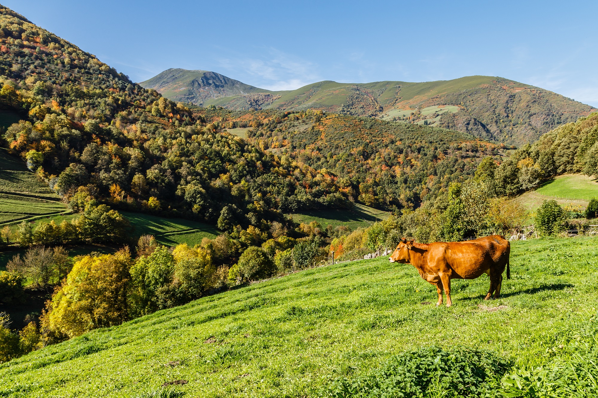 asturias solo travel