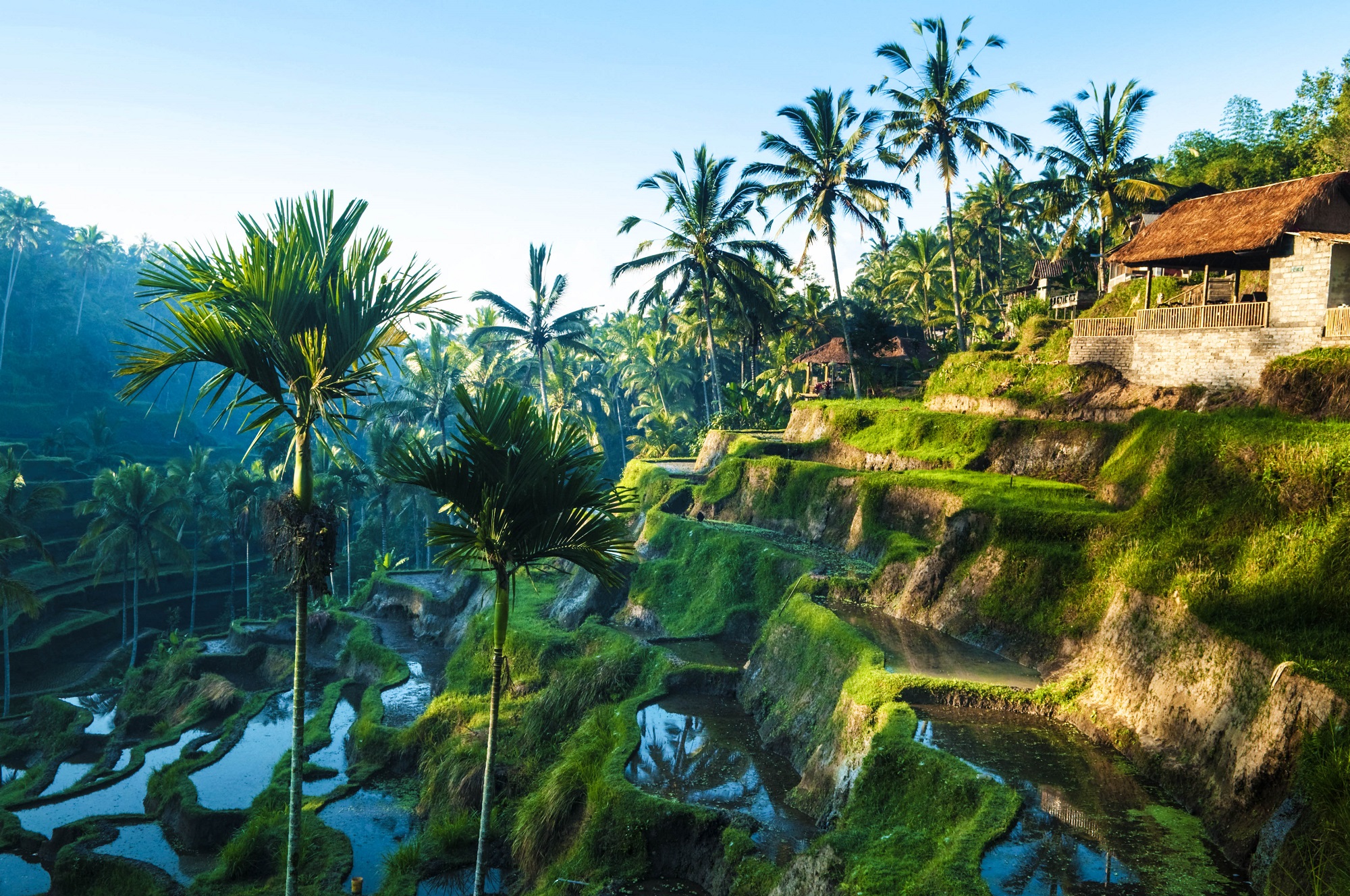 Resultado de imagen de bali