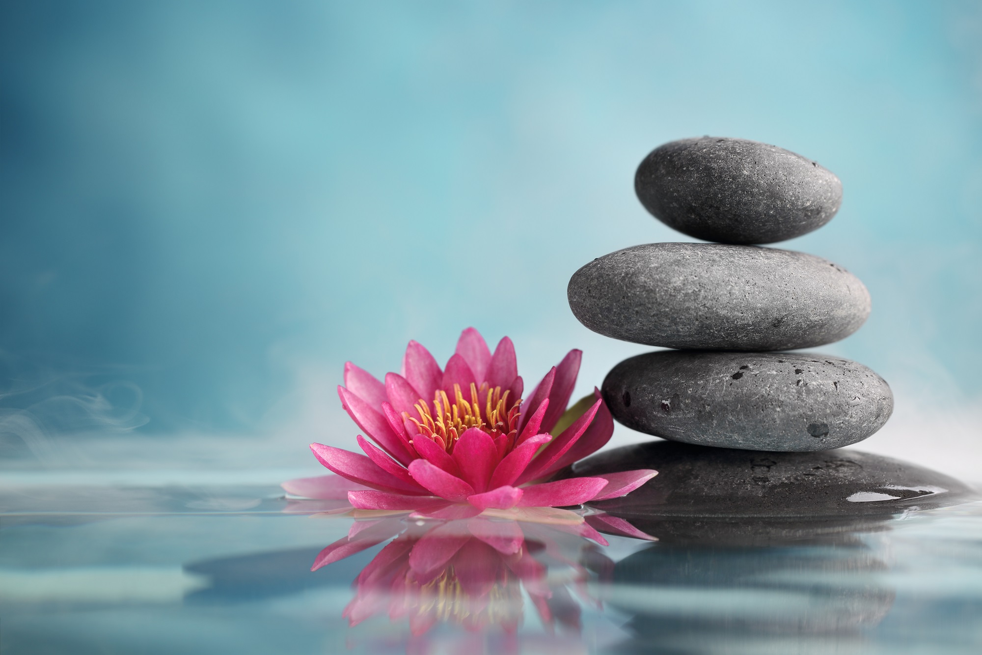 Reiseziele November_Wellness_Therme Erding