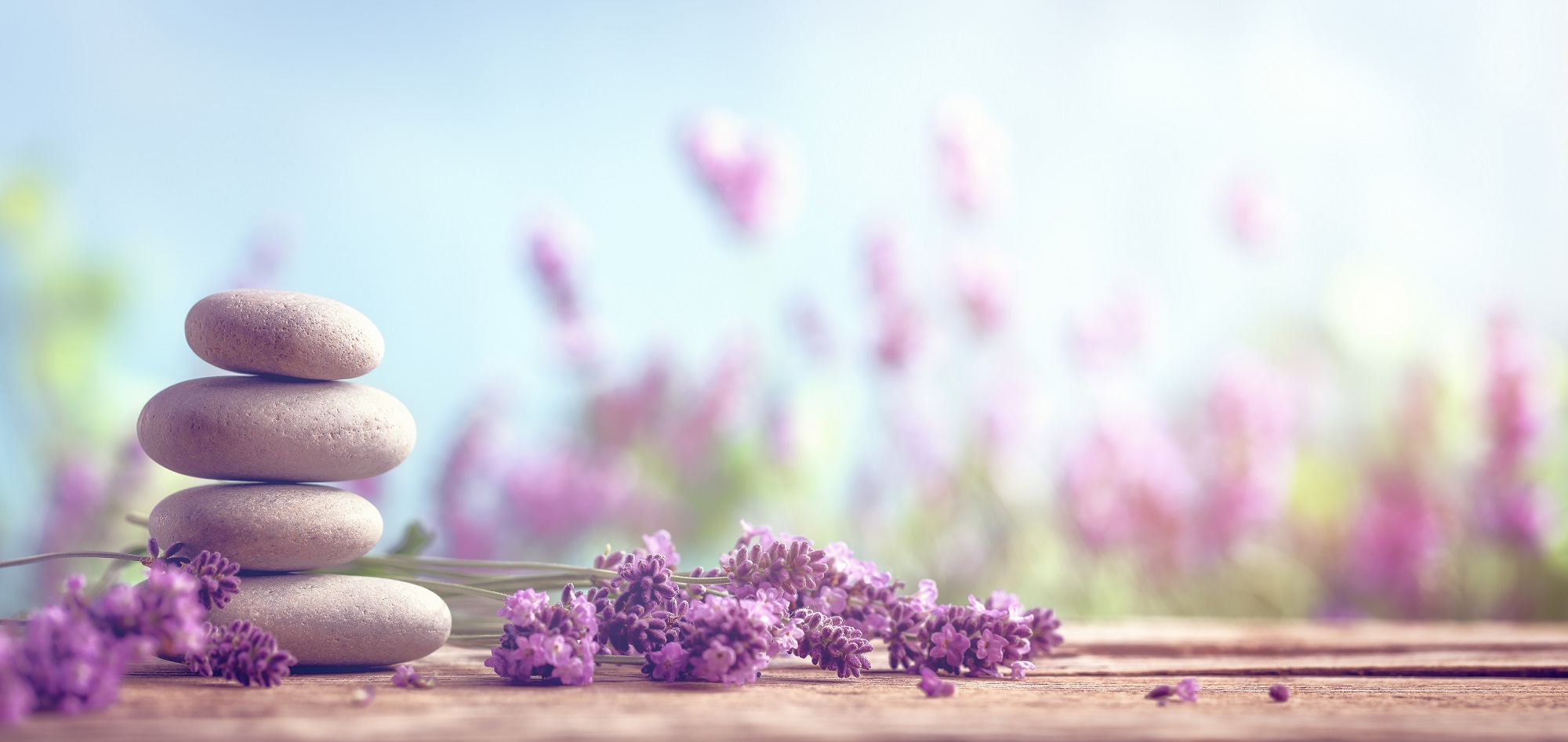 Reiseziele November_Wellness_Therme Erding